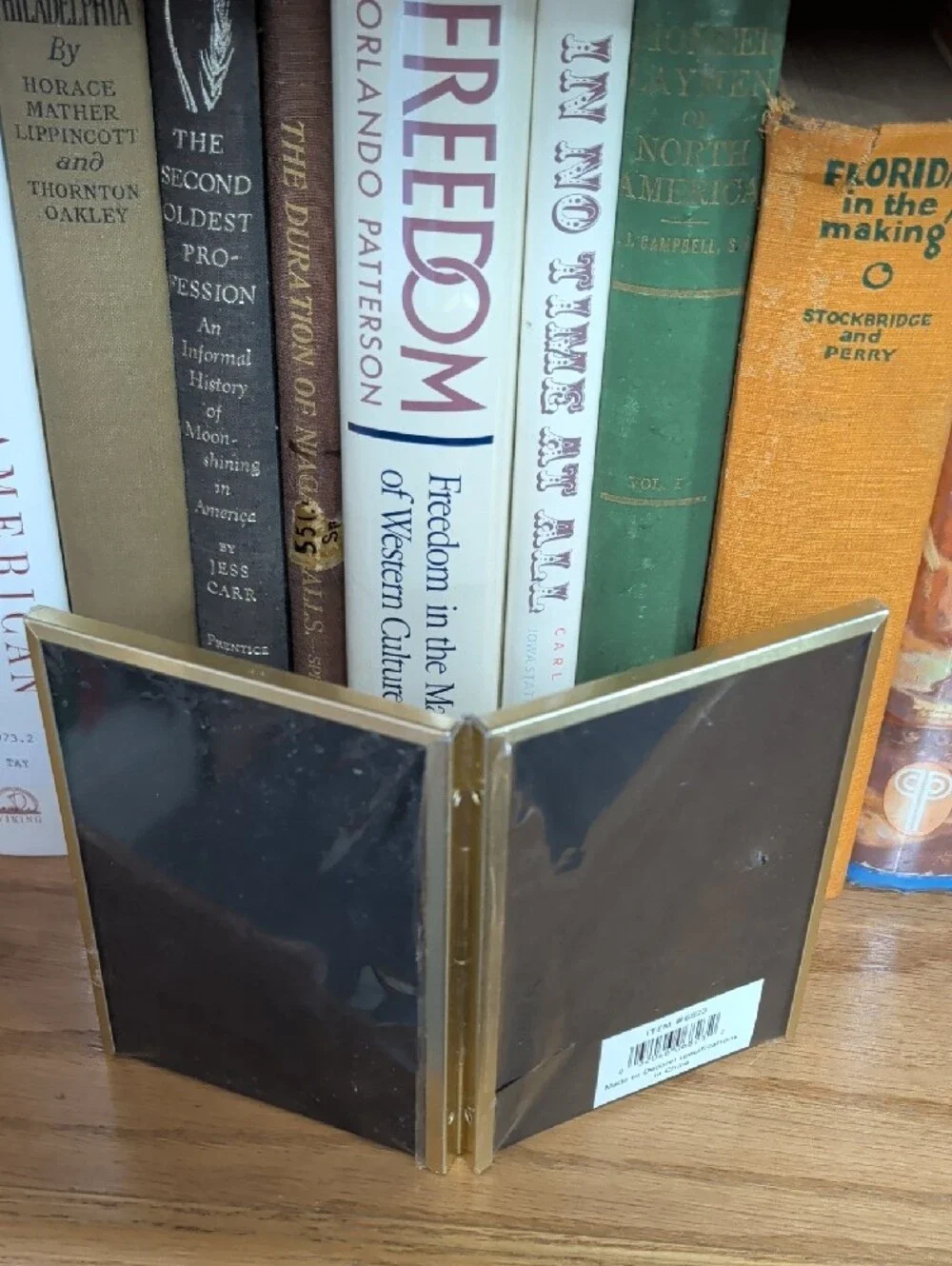 Classic Gold Double Oval Opening 3½x5 Photo Frame Decorel Vintage